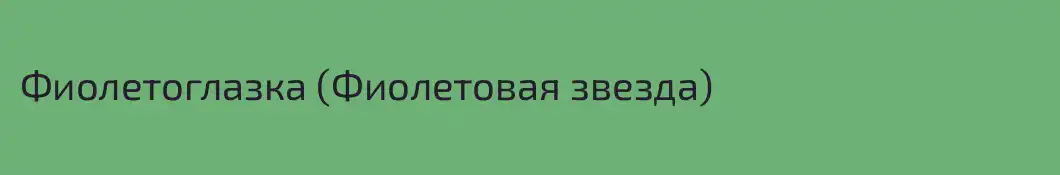 Фиолетоглазка (Фиолетовая звезда)